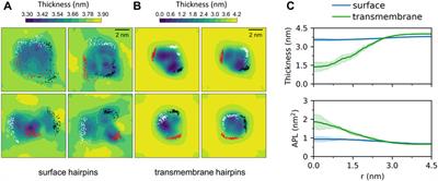 Membrane-Bound Configuration and Lipid Perturbing Effects of Hemagglutinin Subunit 2 N-Terminus Investigated by Computer Simulations